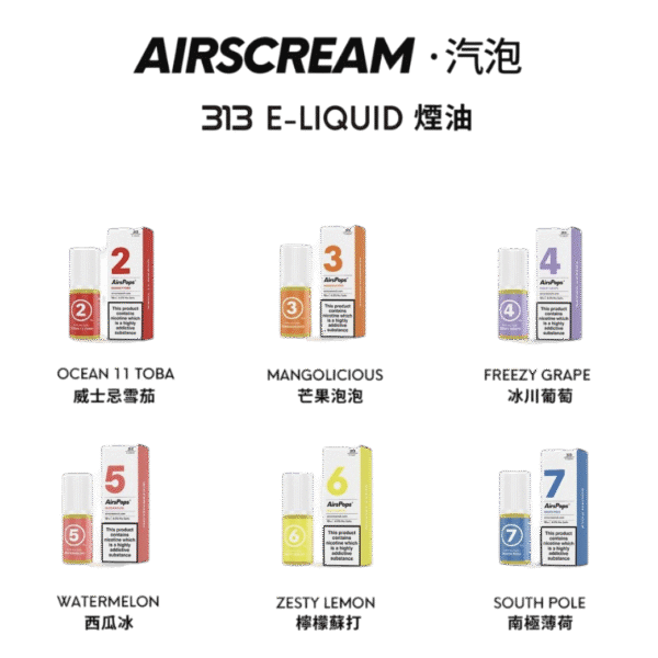 英國 Airscream 313