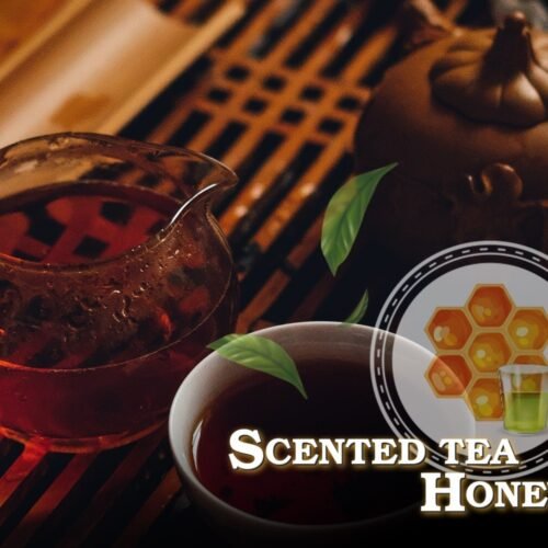 【小煙油】GENESIS 創世紀系列小菸油30ml