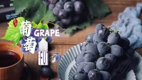 糖巢Sugar Nest https://mikeymcq4.com @mikeymcq