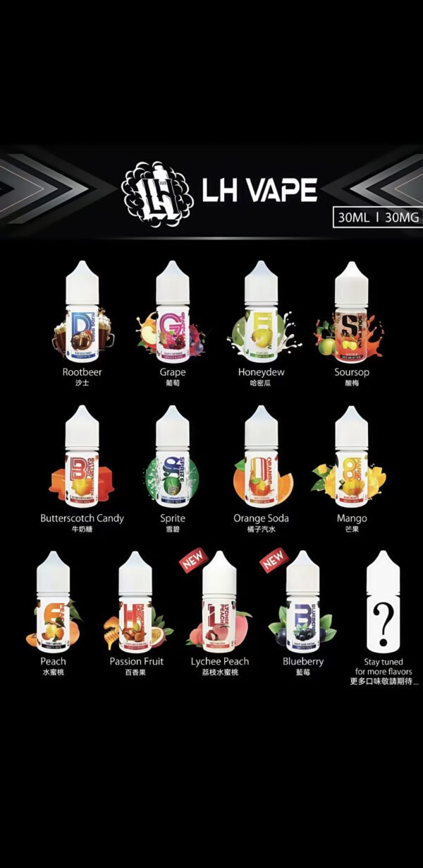 原裝正品LH VAPEMY 馬來西亞老品牌LH 30ML