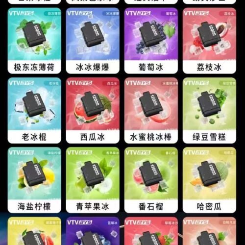 VTV BYS專用主機商品圖片 VTV BYS專用主機商品圖,12000口、15ML、600mAh電池、Type-C充電